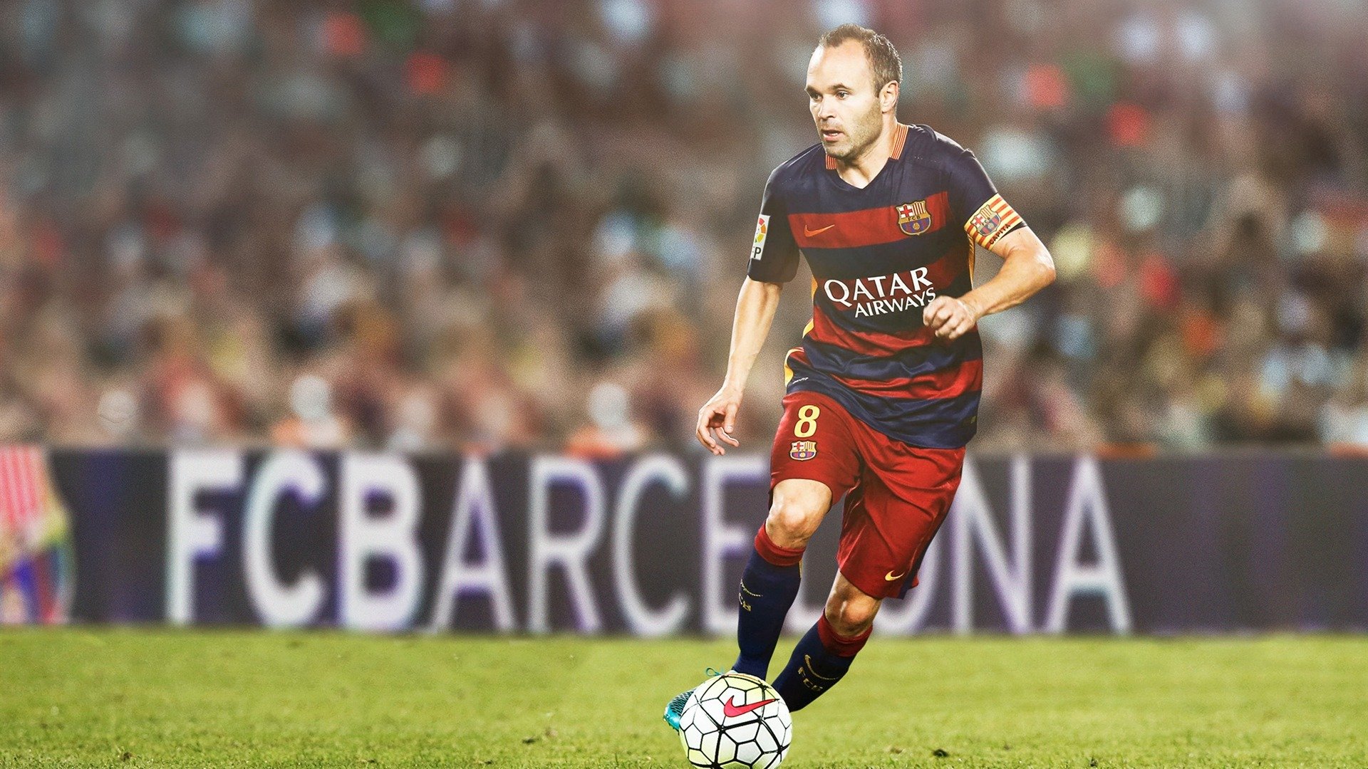 _水世界运动节：畅游、冲浪、潜水全体验_，世界水下运动联合会