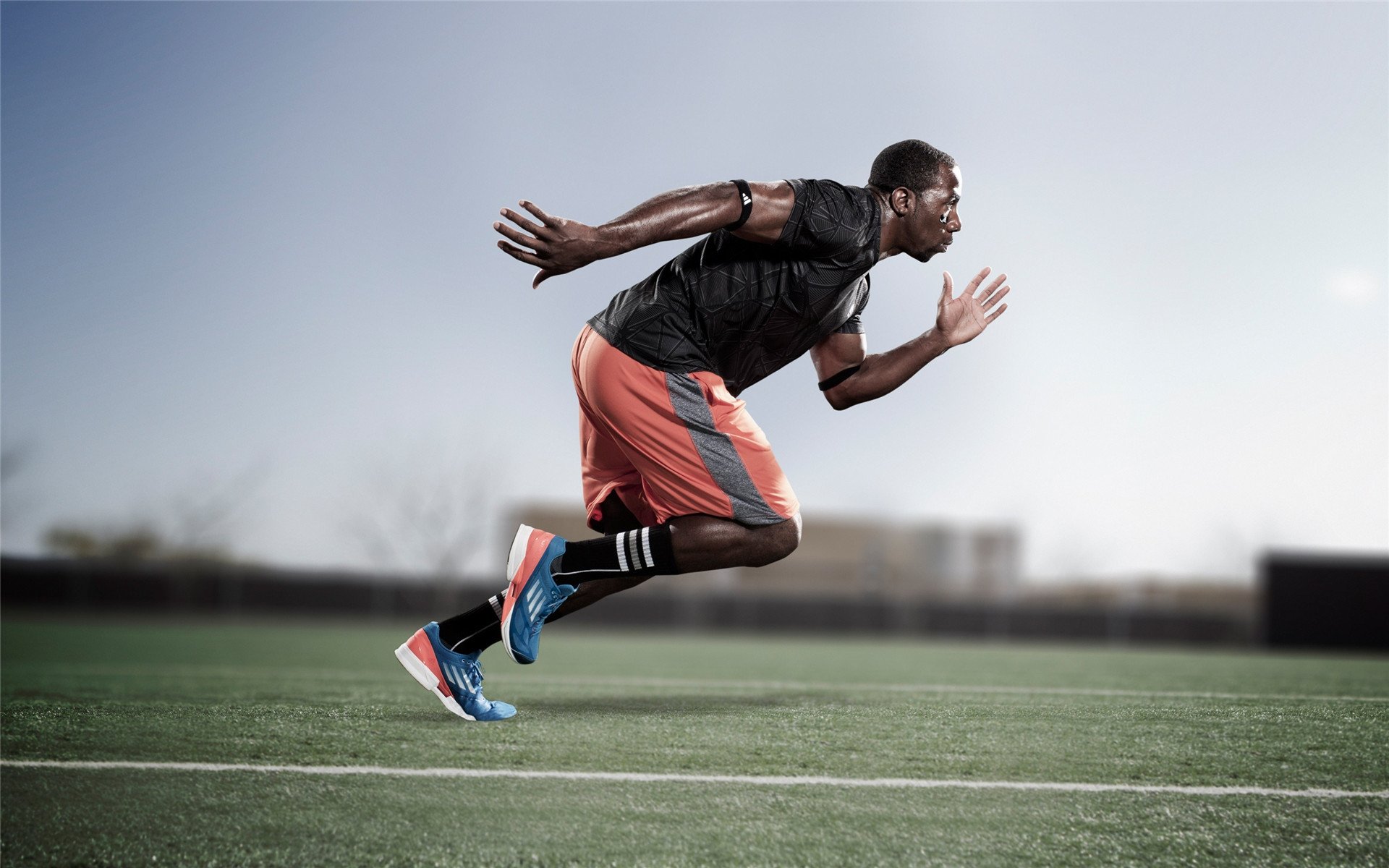 女王公园巡游者锋线犀利,QPR保级有望,女王公园巡游者实力